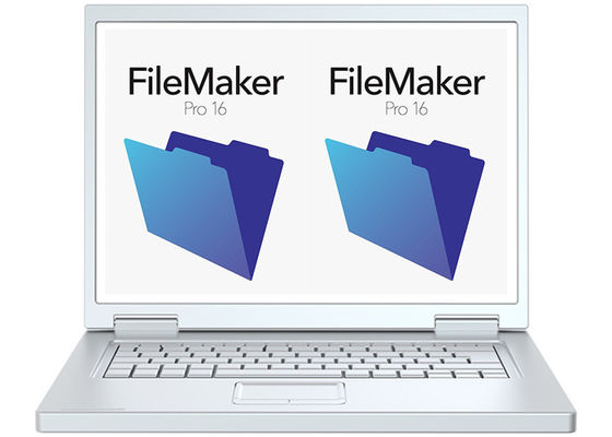 중국 Windows를 위한 진짜 소프트웨어 filemaker 직업적인 최신 버전 1 년 보장 협력 업체