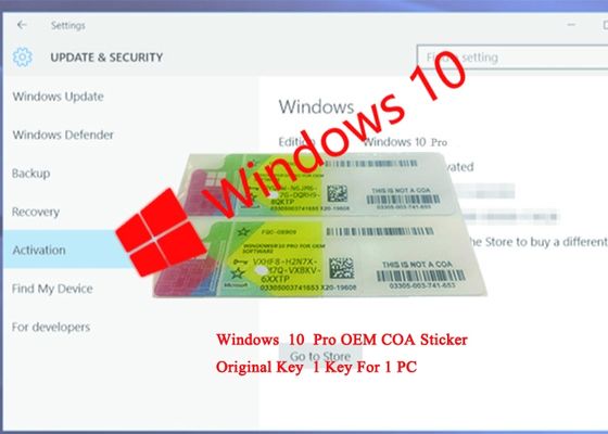 중국 세륨 증명서 COA 면허 스티커/Windows 10 전문가 제품 열쇠 협력 업체